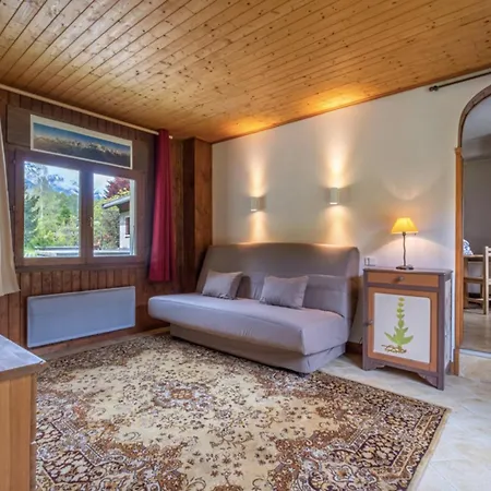 Cozy Big With Spectacular Mont-blanc View *